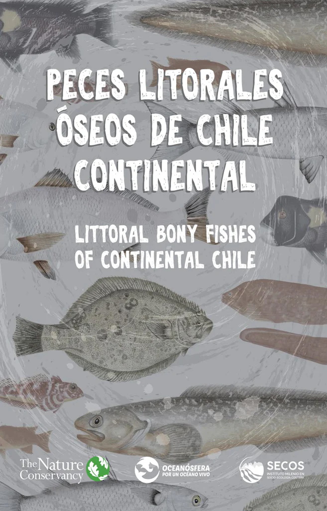PECES LITORALES ÓSEOS DE CHILE CONTINENT