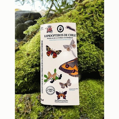 Lepidopteros De Chile. Polillas De La Familia Saturniidae