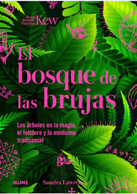 El Bosque De Las Brujas
