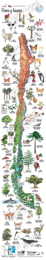 Mapa Flora Y Fauna De Chile