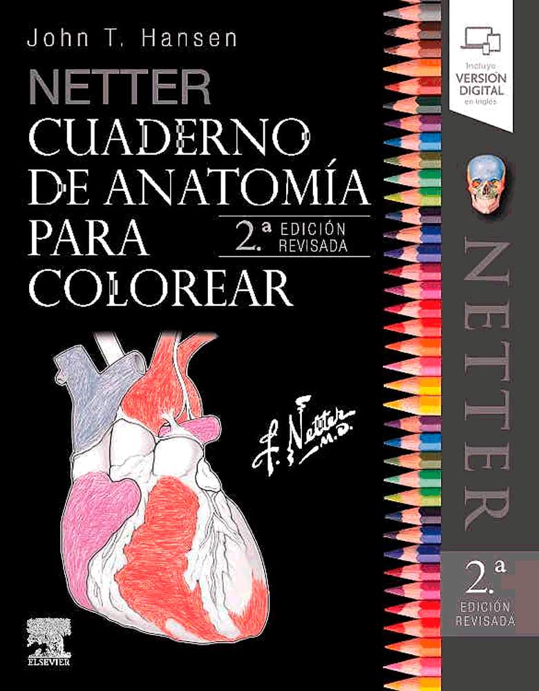 NETTER. CUADERNO DE ANATOMIA PARA COLORE