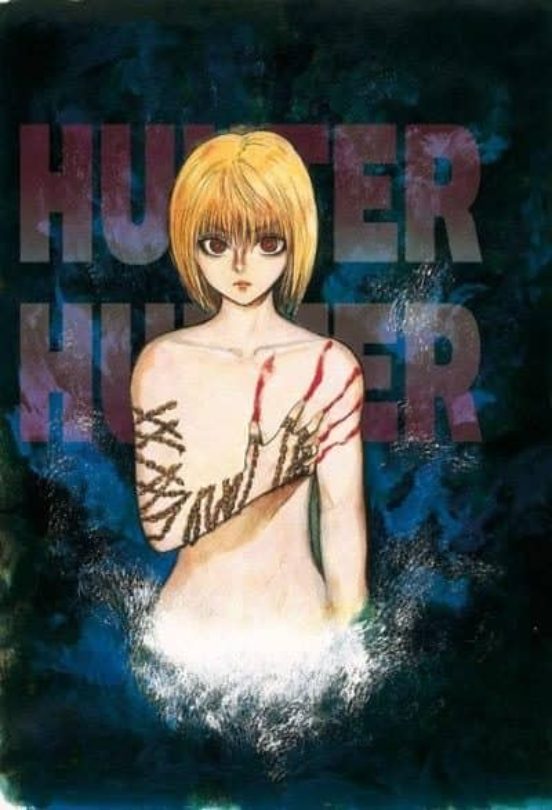 PANINI-COMIC: HUNTER X HUNTER, 14