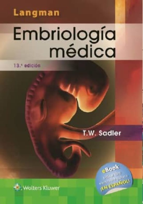 LANGMAN. EMBRIOLOGIA MEDICA 13ª ED.